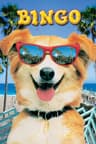 Bingo