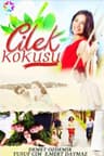 Cilek Kokusu