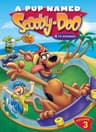 A Pup Named Scooby-Doo (Phần 3)